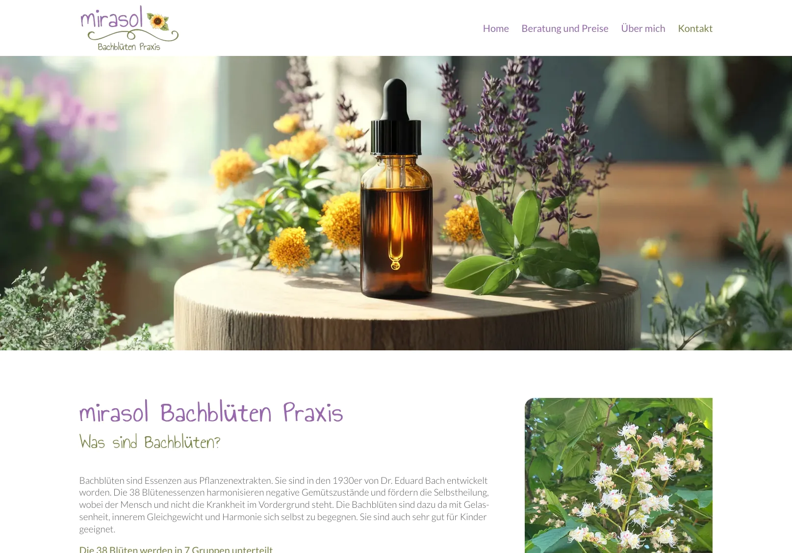mirasol Bachblüten Praxis
